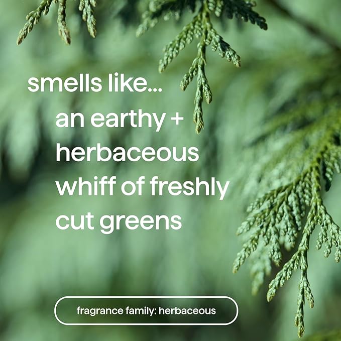 Method Men Body Wash, Juniper + Sage, Paraben and Phthalate Free, 18 fl oz (Pack of 1)