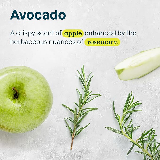 ATTITUDE Hair Conditioner for Sensitive Dry Scalp, Dry and Damaged Hair, Soothing Oat, Naturally Derived Ingredients, Dermatologically Tested, Vegan Detangler, Nourishing, 8 Fl Oz