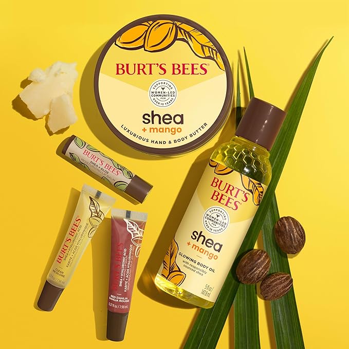 Burt's Bees Shea and Aloe Moisturizing Lip Balm, Lip Moisturizer With Responsibly Sourced Beeswax, Tint-Free, Natural Origin Conditioning Treatment, 4 Tubes, 0.15 oz.