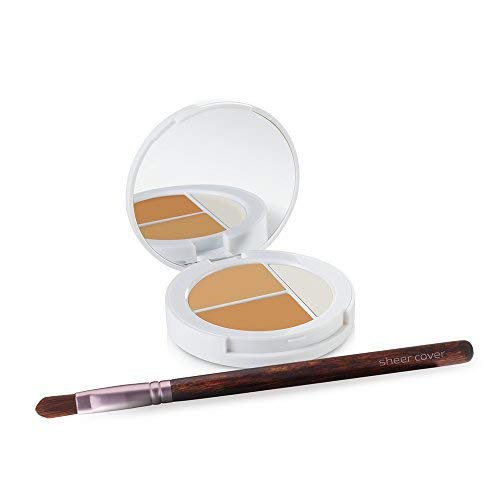 Sheer Cover Studio – Conceal and Brighten Highlight