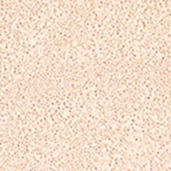 [JUNGSAEMMOOL OFFICIAL] Essential Skin Nuder Cushion (Fair) | Artist Brand