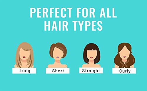 Wet Brush Original Princess Guiding