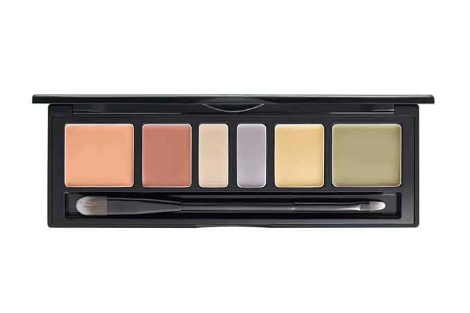 [JUNGSAEMMOOL OFFICIAL] Artist Concealer Palette (Blend) | Makeup Brush Included