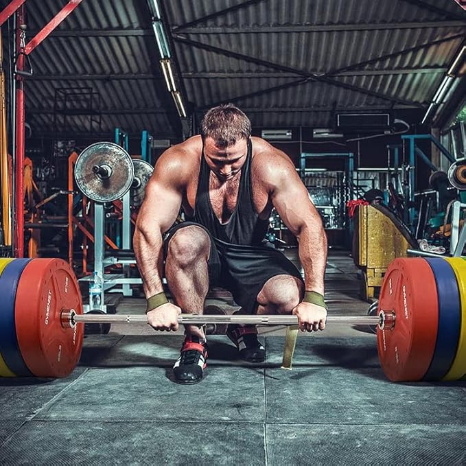 GYMENIST Bumper Plates is Made for 2 Inch 10 LB 55 LB