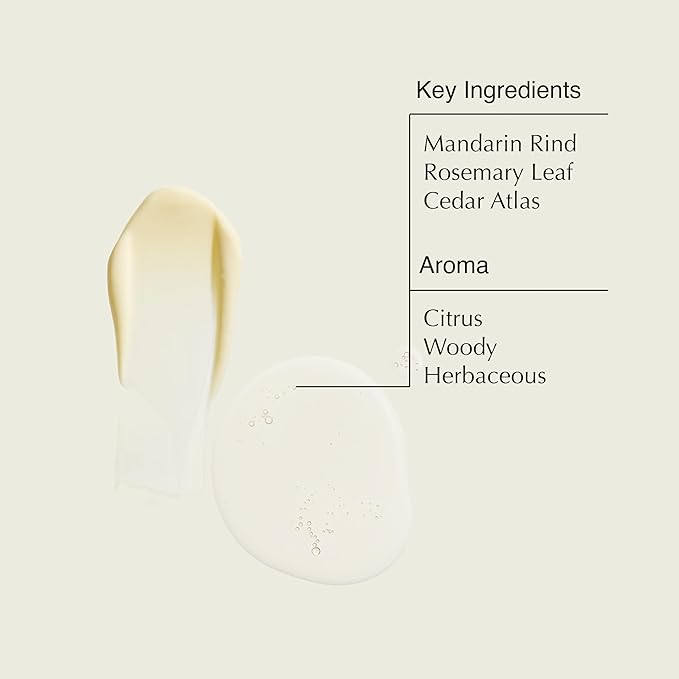 Aesop Resurrection Duet | Hand Wash & Hand Balm | Gentle Cleanse, Soften Hard-Working Hands | 16.9 oz / 500mL