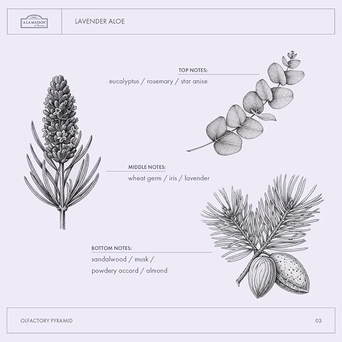 A La Maison de Provence Natural Aluminum-Free Deodorant Traditional French Milled Formula | Long Lasting Safe and Effective | Free of SLS, Parabens and Sulfates (3 x 2.4 oz, Lavender Aloe)