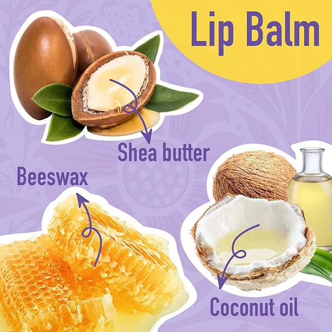 AZEN 12 Pack Lip Balm, Natural