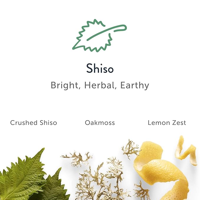 Harry's Aluminum Free Deodorant for Men - Odor Control, Shiso Scent, 2.5 Oz, 3-Pack, Men Deodorant Aluminum Free