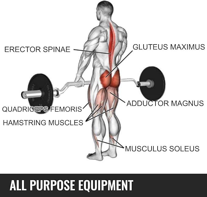 Fitness Safety Squat Olympic Bar，700LB Capacity Squat Olympic Bar 7 FT