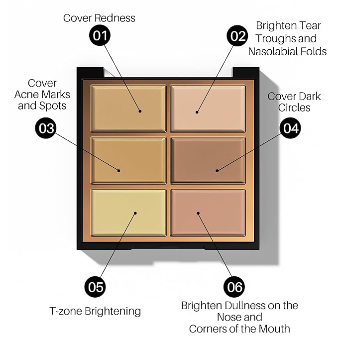 FV 6 Colors Cream Concealer Palette, Full Coverage 01 L