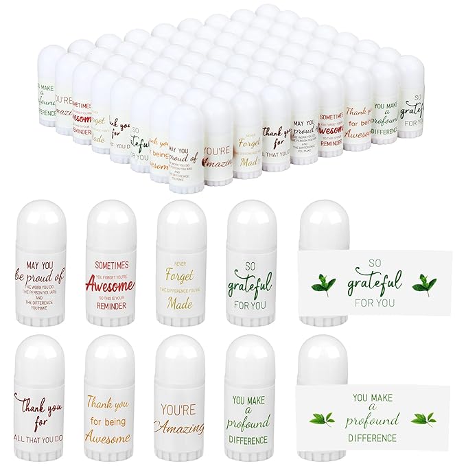 72 Pcs Mini Lip Balm Bulk All