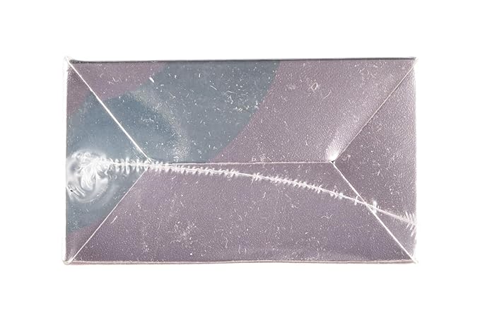 Facial - Nose Hair Remover Women: 2 in 1 Painless Electric Face Shaver and Nose Trimmer - Rechargeable Hair Removal Tool for Face Nose Ear Peach Fuzz Lips Chin