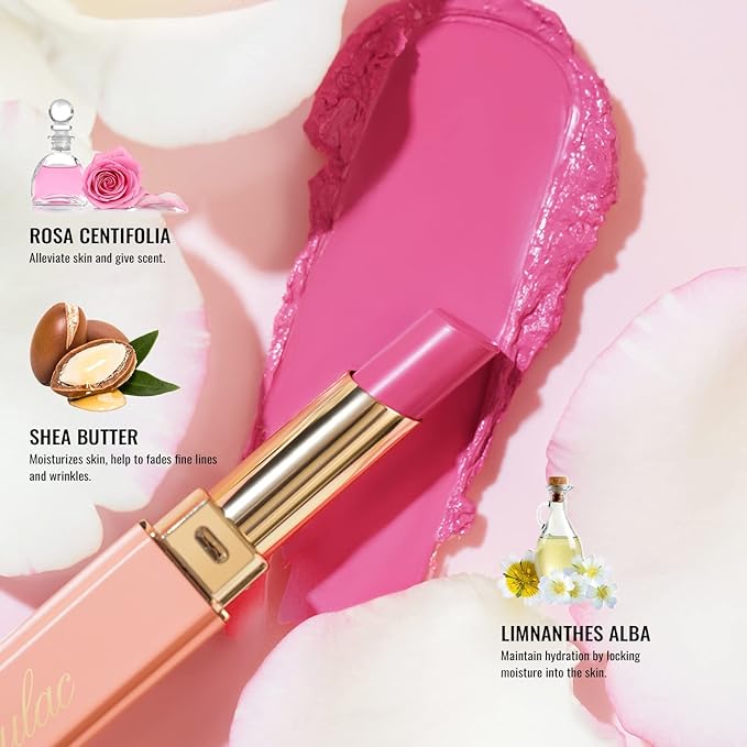 Oulac Moisturizing Shine Lipstick For Women Christmas Set 2PCS, 2 in 1 Tinted Lip Balm for Winter, Hydrated Juicy and Glossy Lip Color for Dry, Cracked and Chapped Lips, Vegan [07+14]