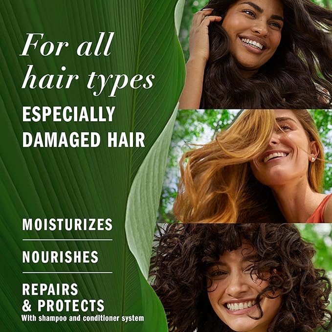 Herbal Essences Avocado Oil Sulfate Free Shampoo, Hair Repair, 13.5 Fl Oz, with Certified Camellia Oil and Aloe Vera, For All Hair Types, Especially Damaged Hair