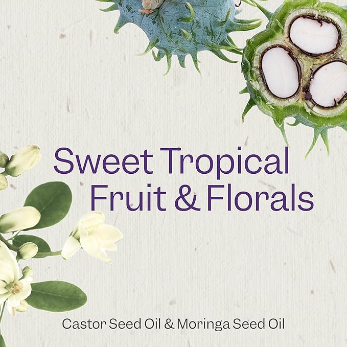 Renpure Castor Oil & Moringa Shampoo, Plant-Based - Curl Enhancing - For Moisturized, Manageable & Smooth Curls - With Castor & Moringa Seed Oil - For Wavy To Curly Hair - 24 Fl Oz