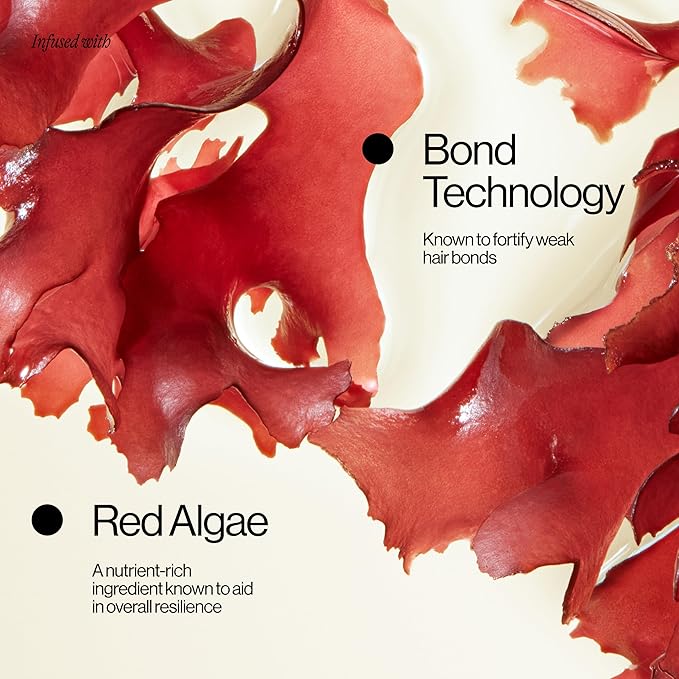 EVA·NYC Repair Ritual Strength Shampoo 10 Fl Oz (Pack of 1)