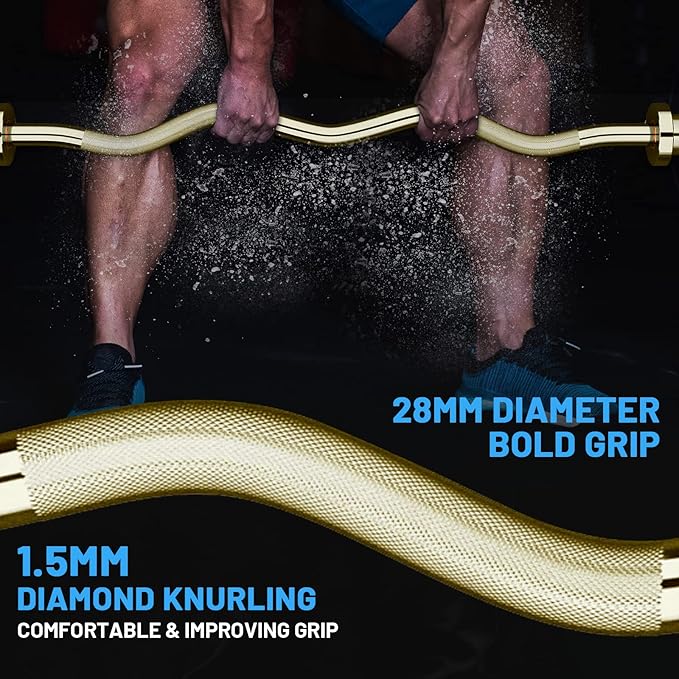 47" Olympic EZ Curl Bar 500-lbs Capacity Steel 2" Barbell