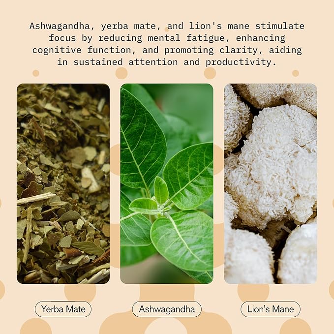 Focus Drink for Concertation - Contains Yerba Mate, Ashwagandha and Lions Mane Mushroom with Advanced Nanoscience Technology - 12 Pack Brain Focus Drink, Orange Flavor, 2oz