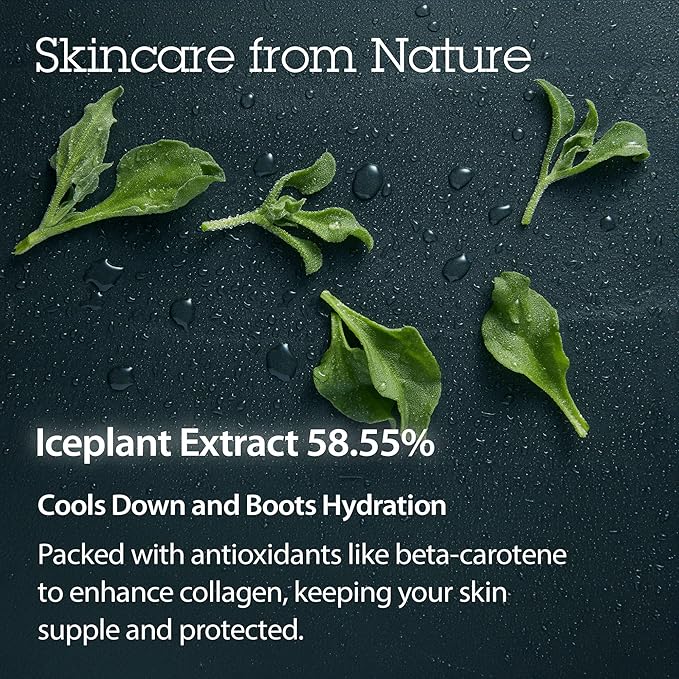 BLITHE Pressed Serum Crystal Iceplant Face Moisturizing Gel - Kbeauty Best Skin Cream for Dry Skin, Korean Serum for Combination Skin & Redness Relief, Face Moisturizer for Dry Skin Cream 1.68 Oz